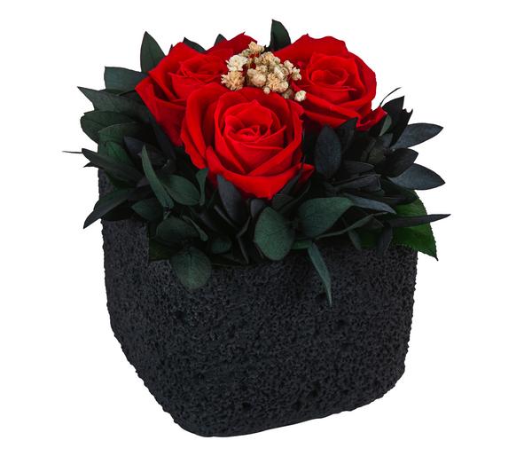 Dehner Keramik-Schale mit Longlife-Rose Izzy,