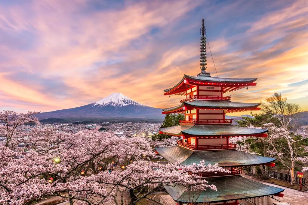 Cruise Japan & Zuid-Korea Zie beschrijving
