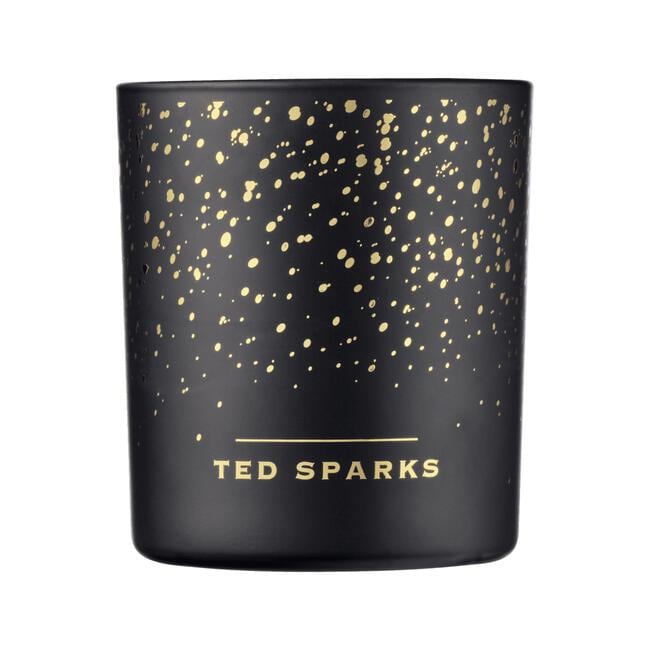 Ted Sparks Demi Candle Cinnamon & Spice