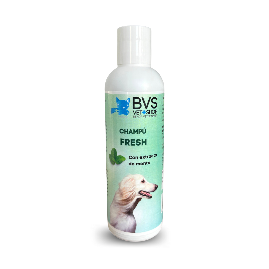 Shampoo com Extrato de Hortelã Fresca da BVS | Shampoo com efeito refrescante.
