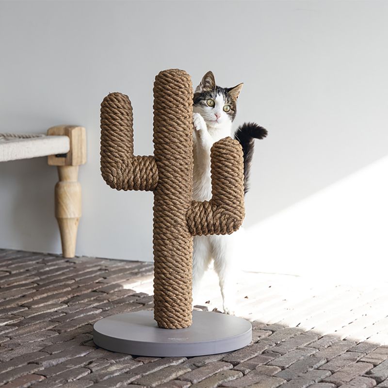 Tronc à griffer Designed by Lotte Cactus