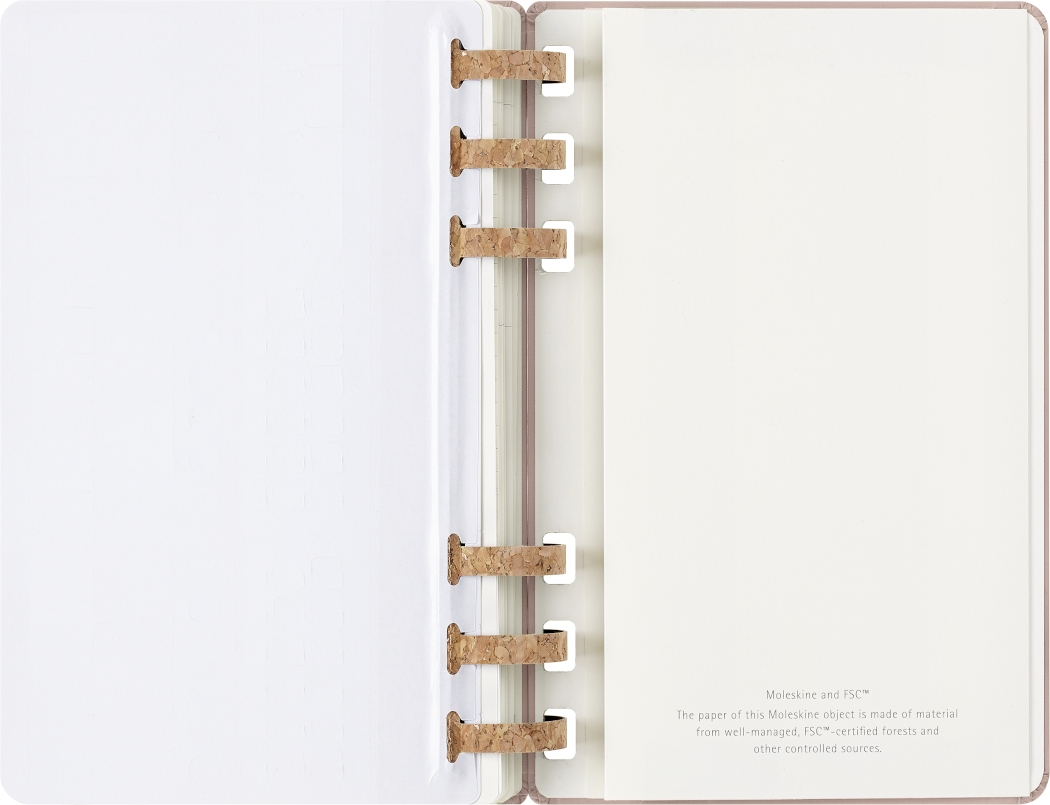 Life Planner 2025 L 12-Month, Spiral