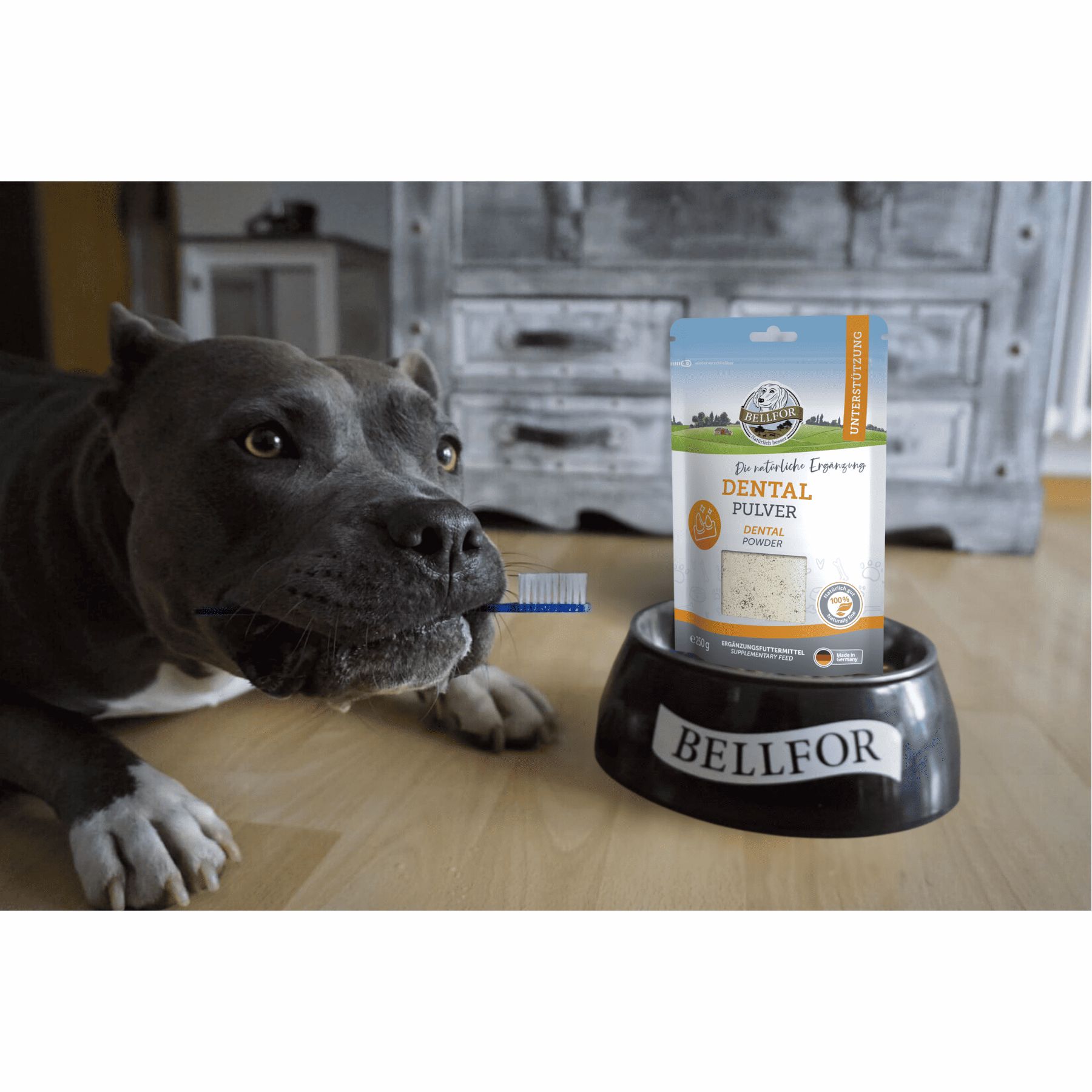 Bellfor Dental Pulver natürliches Zahnpulver für Hunde