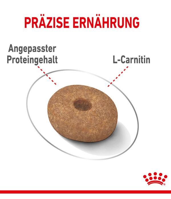 ROYAL CANIN® Trockenfutter für Hunde Light