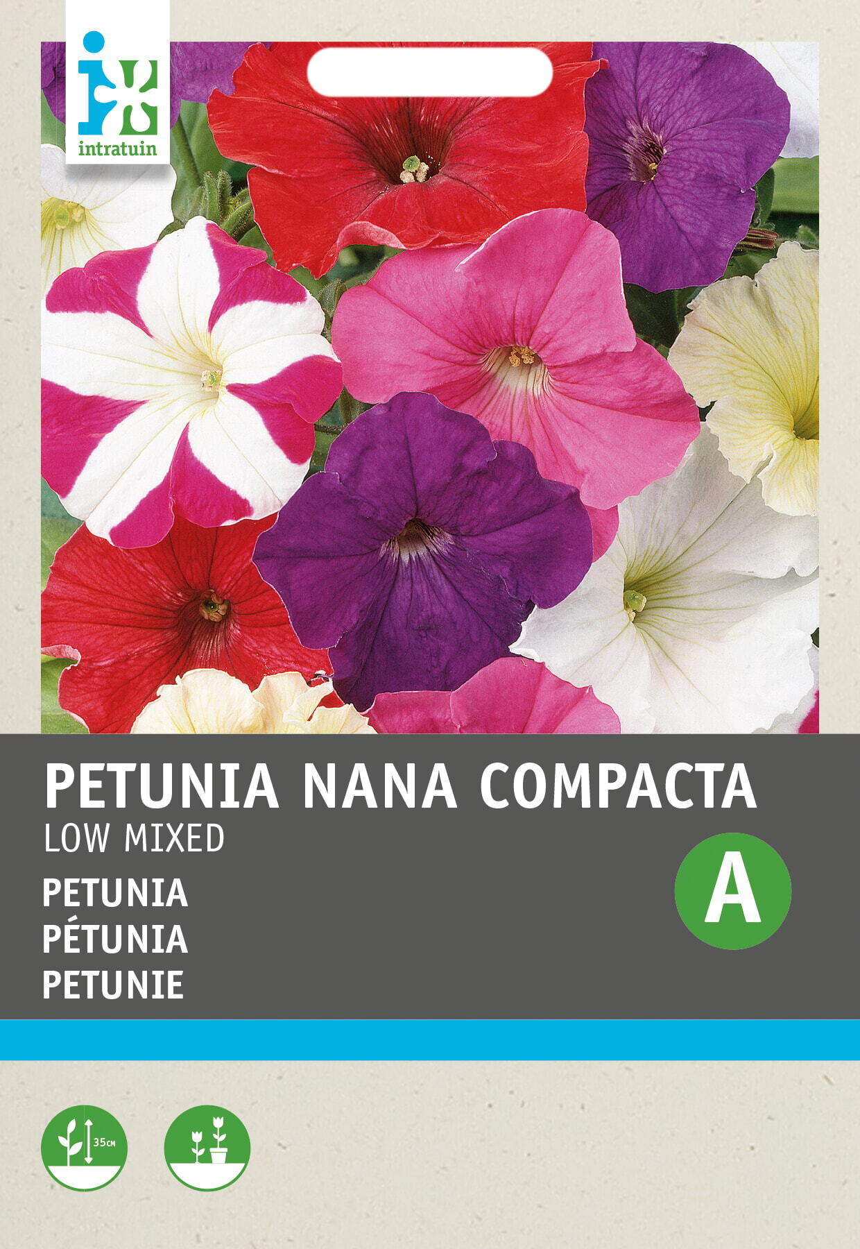Intratuin bloemenzaad Petunia gemengd (Petunia Hybrida)