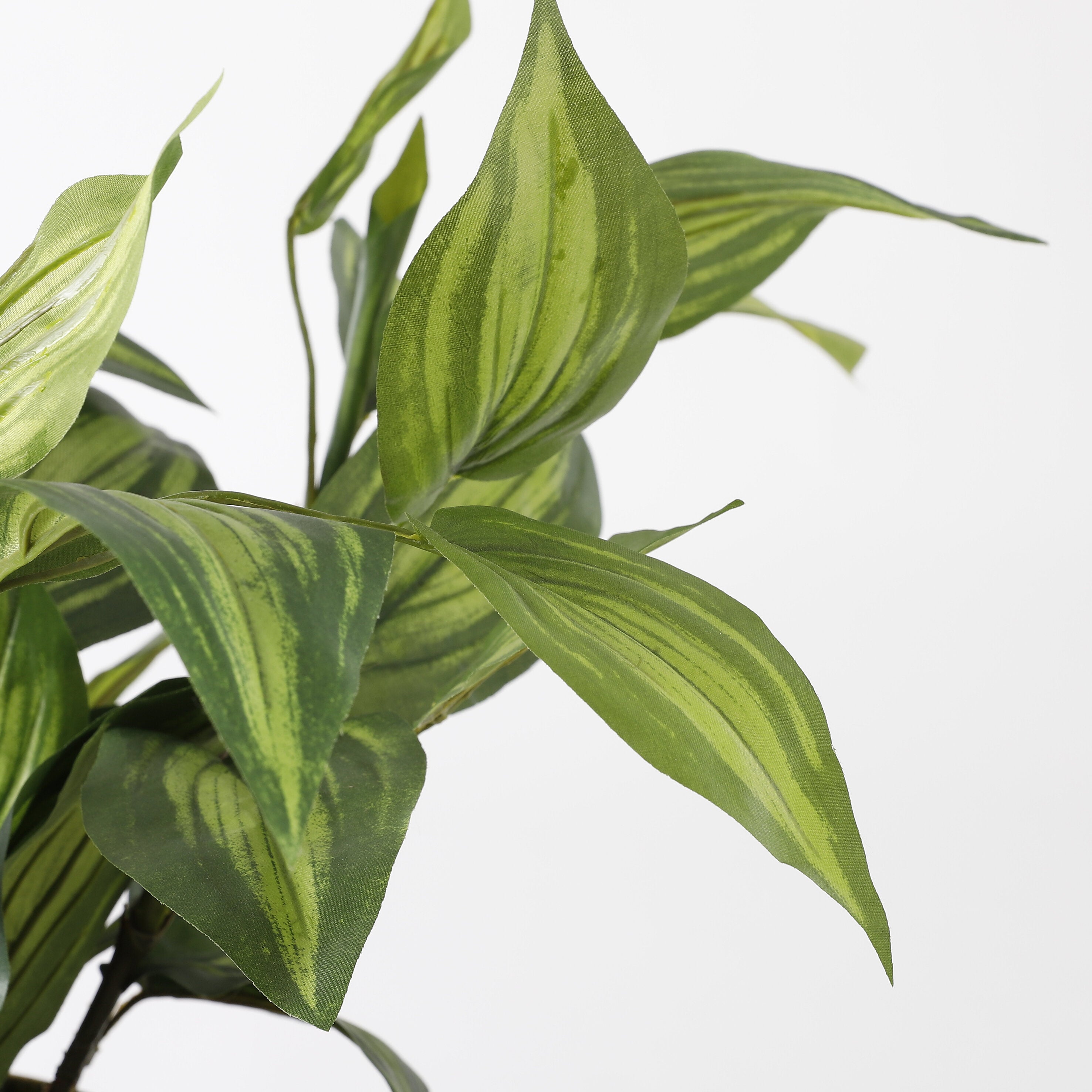 Mica Decorations Hosta groen in pot Stan grijs d15,5cm - h65xd40cm