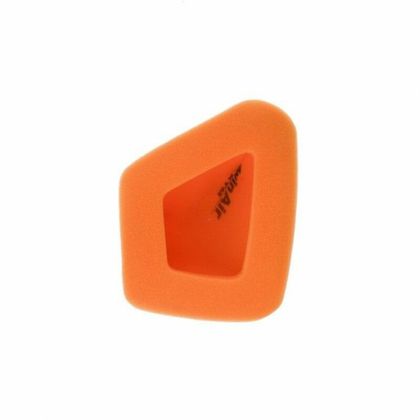 Filtre à air Twin air 154504