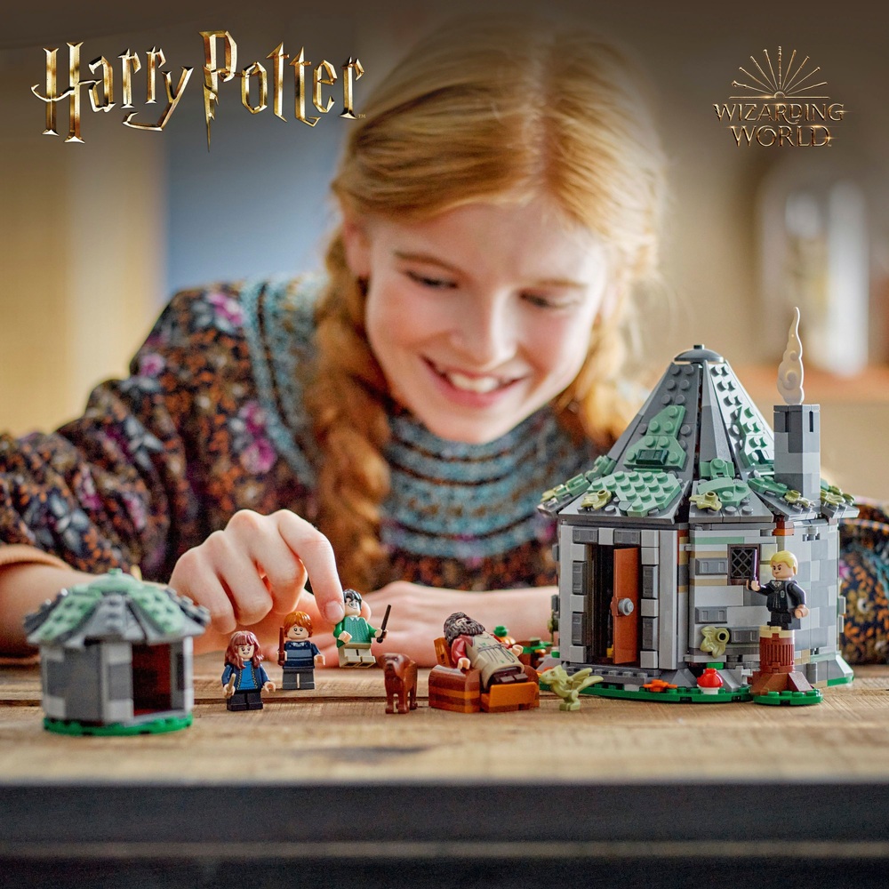 LEGO Harry Potter 76428 Hagrids Hütte: Ein unerwarteter Besuch Set