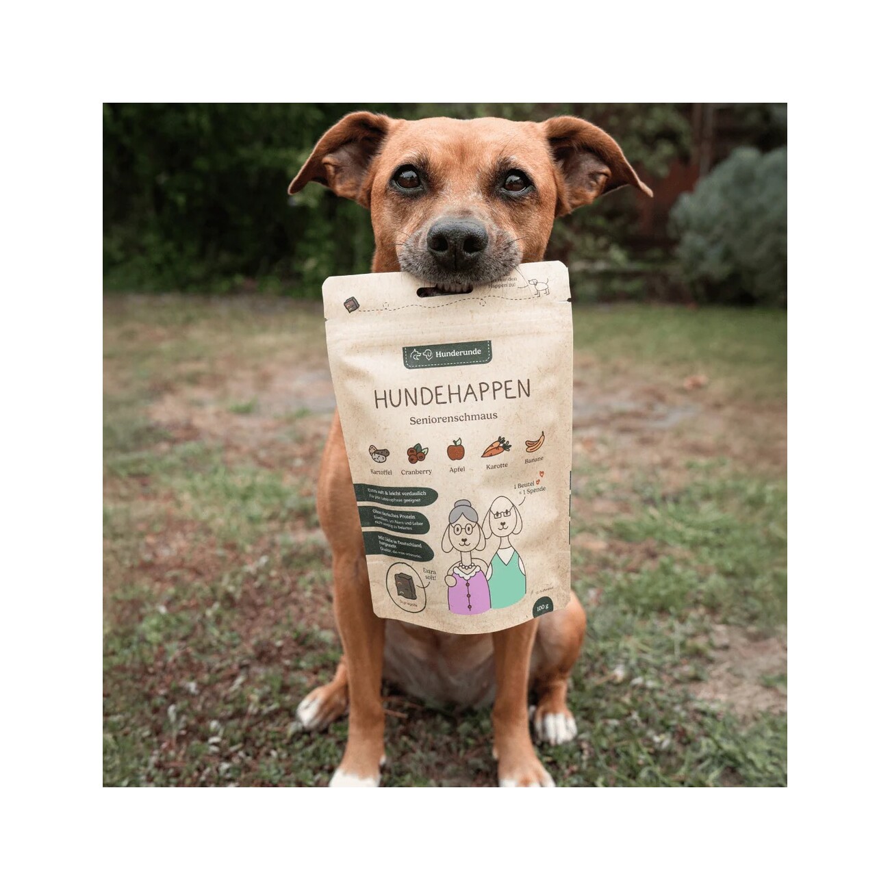 Hunderunde Hundehappen Seniorenschmaus 3x100g I Weiche, pflanzliche Snacks für Hunde jeden Alters – extra soft, leicht verdaulich und einfach lecker