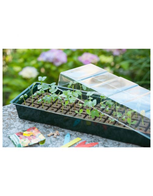 Nature Vensterbankkweekset - Vensterbanktuin - 15.5x49x10 cm Groen Transparant