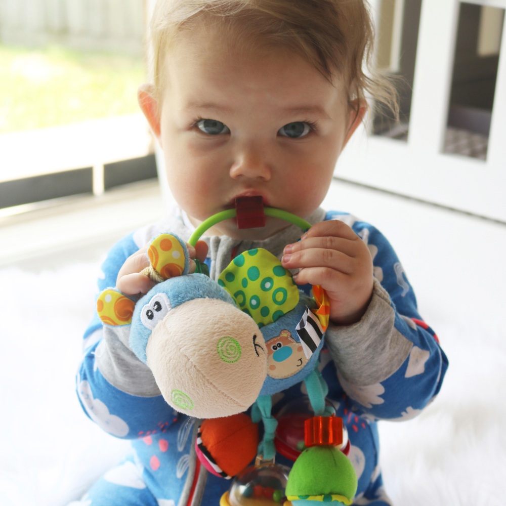 Playgro Clip Clop Aktivitätsrassel Blau
