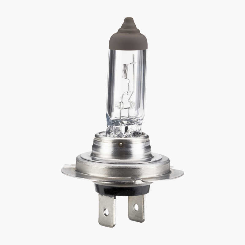 H7 12V 55W STANDARD ECE R37
