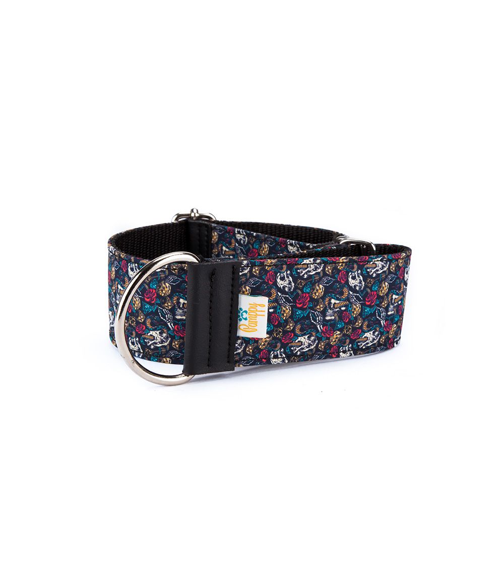 Coleira ajustável Pamppy Galgo Speedy com estampa de caveiras para cães.