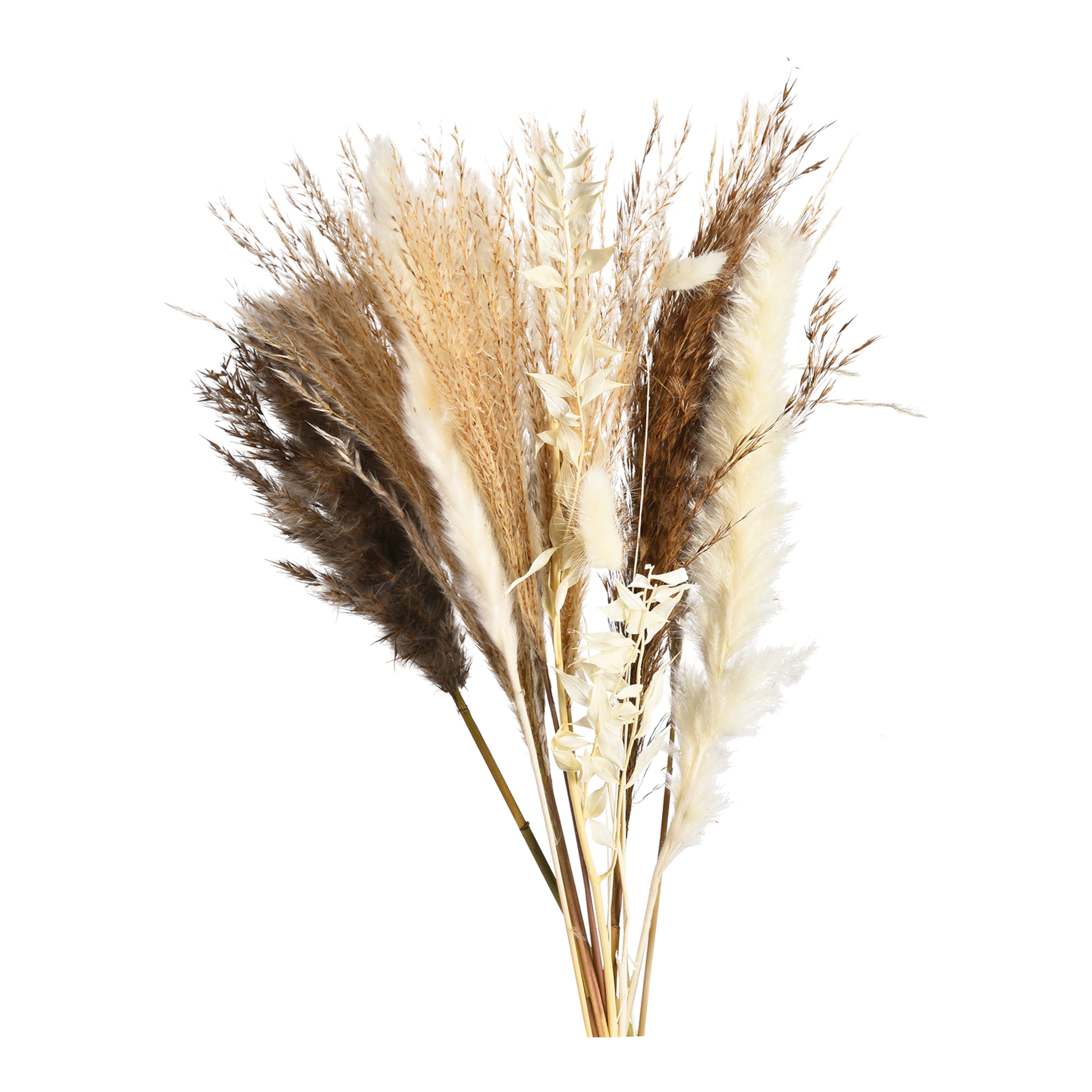 natur, L 45 cm
