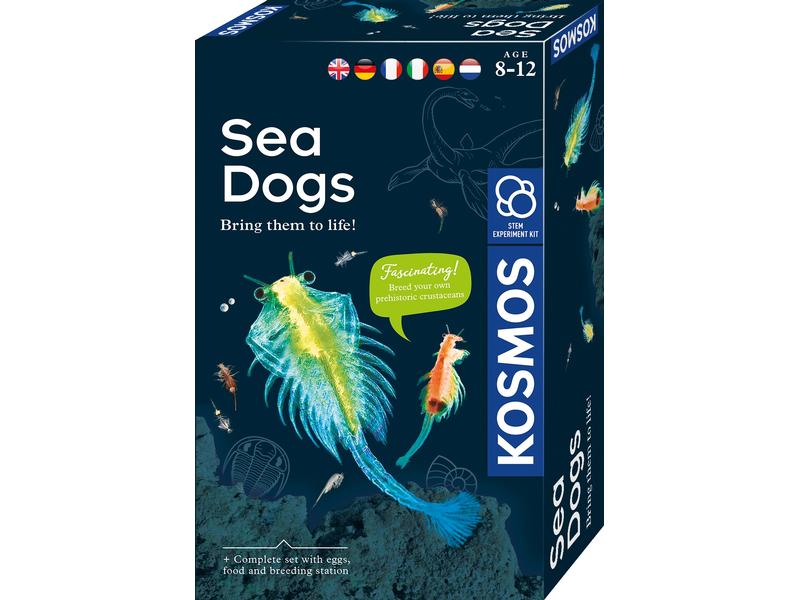Kosmos Experimentierkasten Sea Dogs Die Urzeit zieht ins Kinderzimmer ein!
