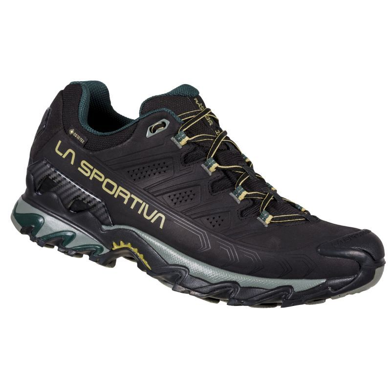 Ultra Raptor II Leather Wide GTX - Chaussures randonnée homme