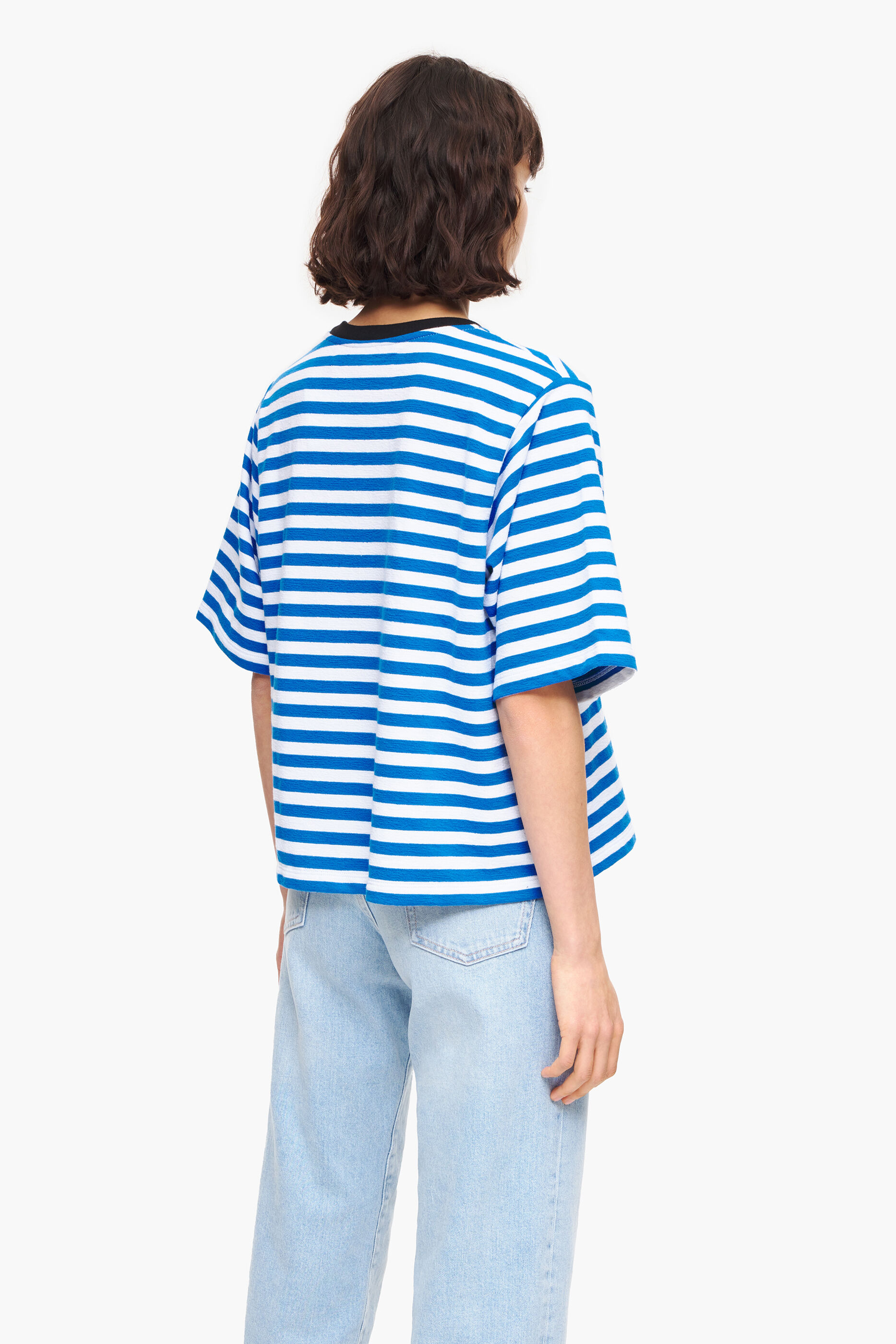 camiseta listrada azul para cachorro