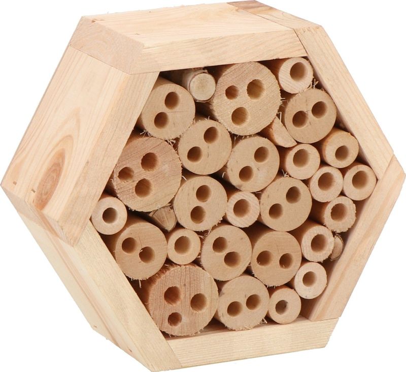 Intratuin - Insectenhotel Hexagon - Hout - 20 cm