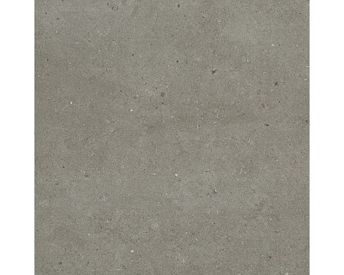 Porseleinen wand- en vloertegel Tessin grijs 60 x 60 cm