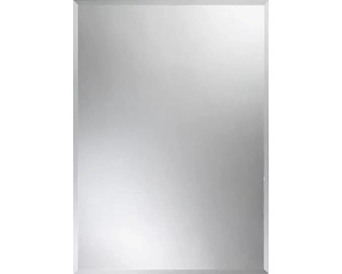 Kristallen spiegel 60 x 40 cm met afgeschuinde rand