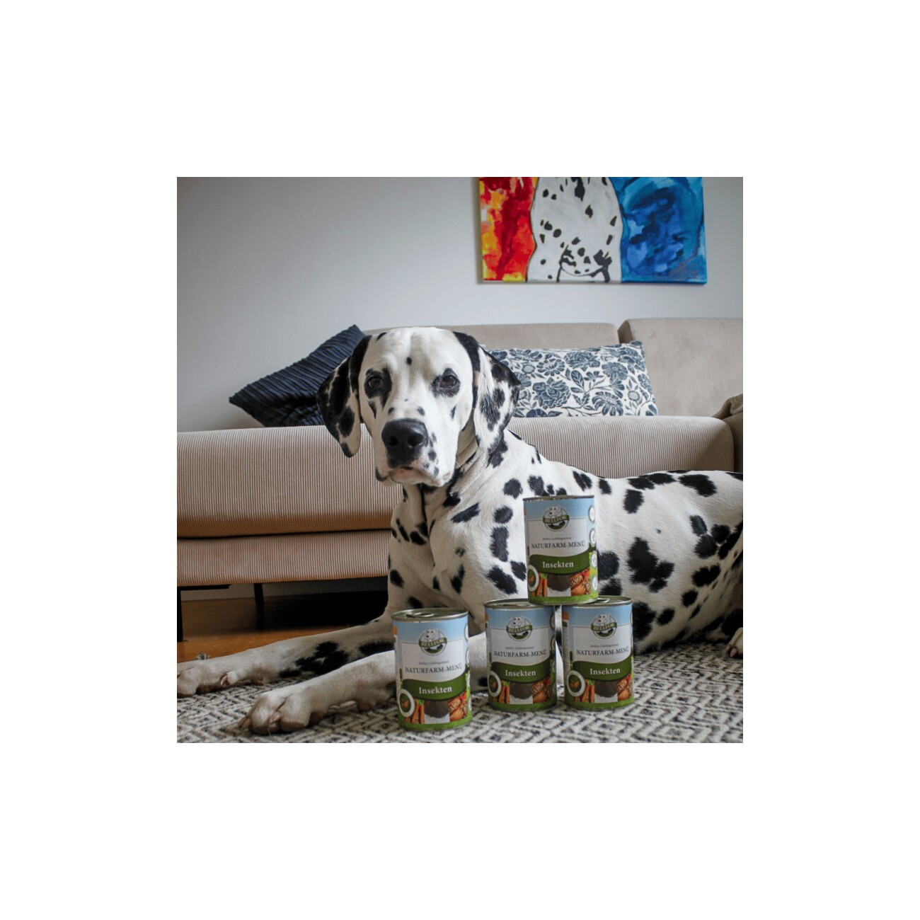 Bellfor Nassfutter mit Insekten und Tapioka - Naturfarm-Menü - 800g