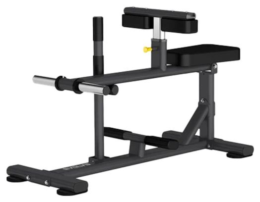 Evolve Fitness EC-011 - Machine à soulever les mollets en position assise