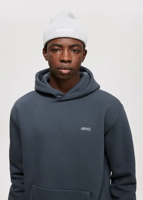Hoodie met merk print grijs (GRS.CHA)