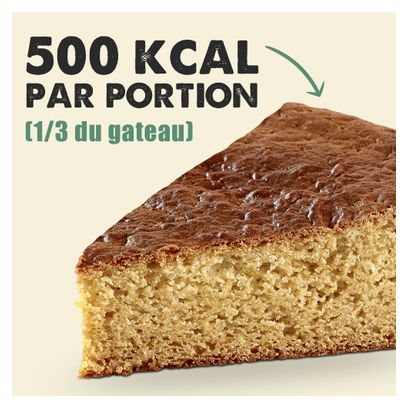 Gâteau Energétique Overstims Gatosport Banane - Chocolat 400g