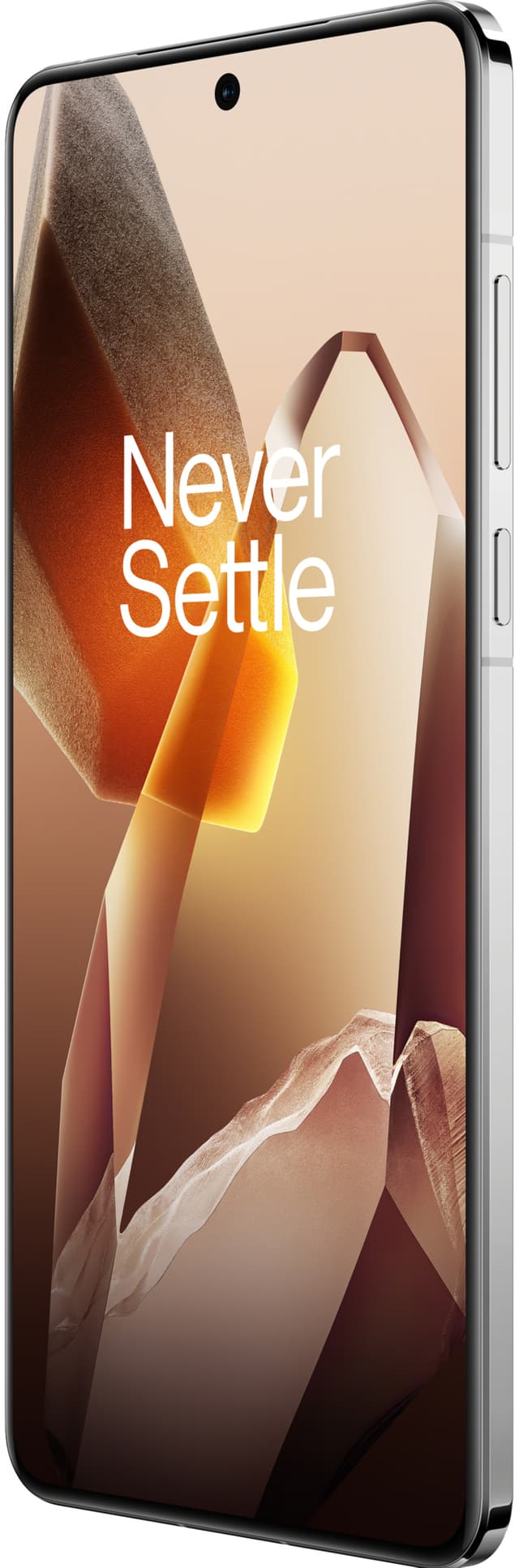 OnePlus 13 smartphone 5G 16/512GB (hvid)