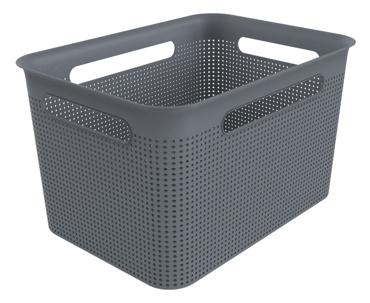 rotho Box BRISEN