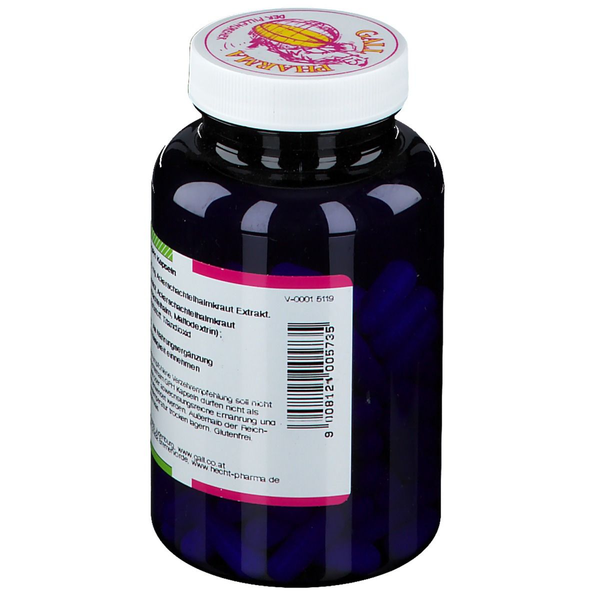 GALL PHARMA Schachtelhalm GPH Kapseln
