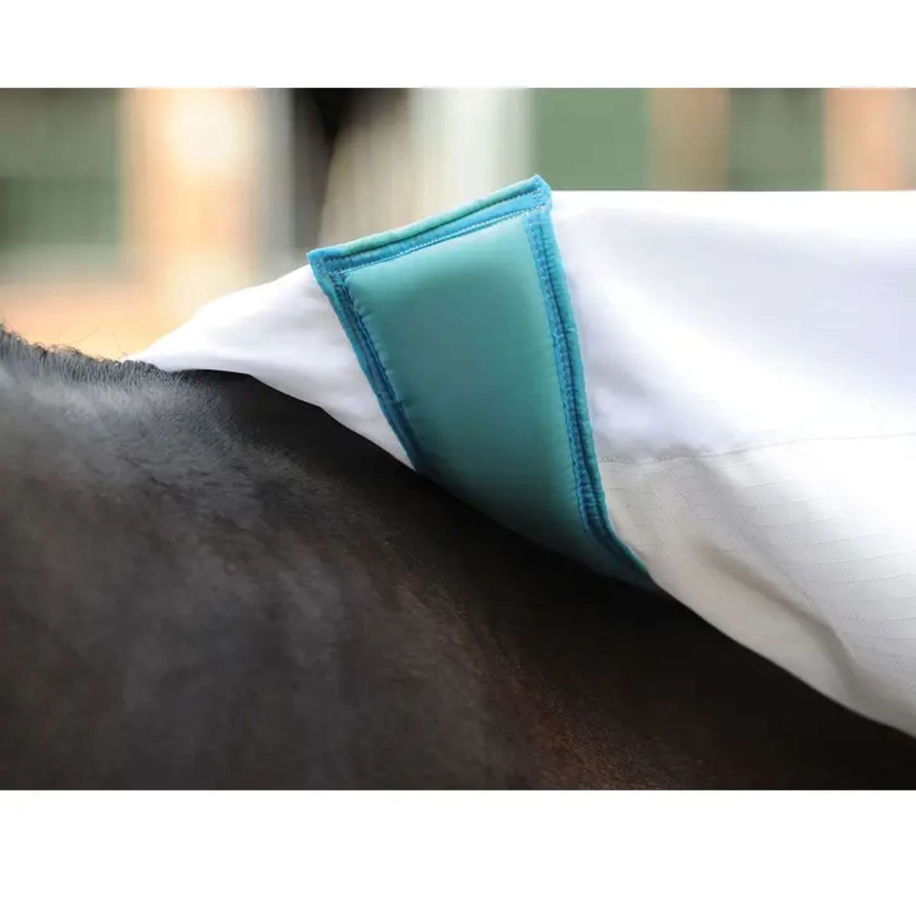 WeatherBeeta Eczeemdeken Sweet Itch Combo Neck Wit/Blauw