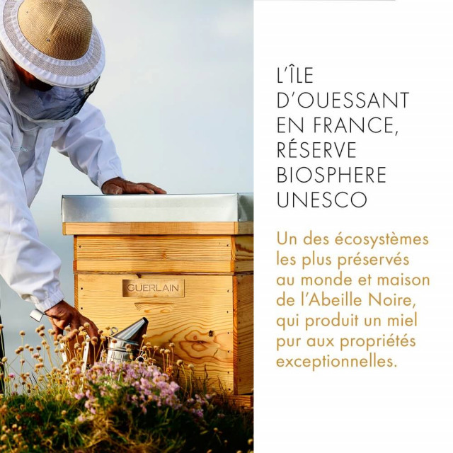 Black Bee Honey Balm GUERLAIN