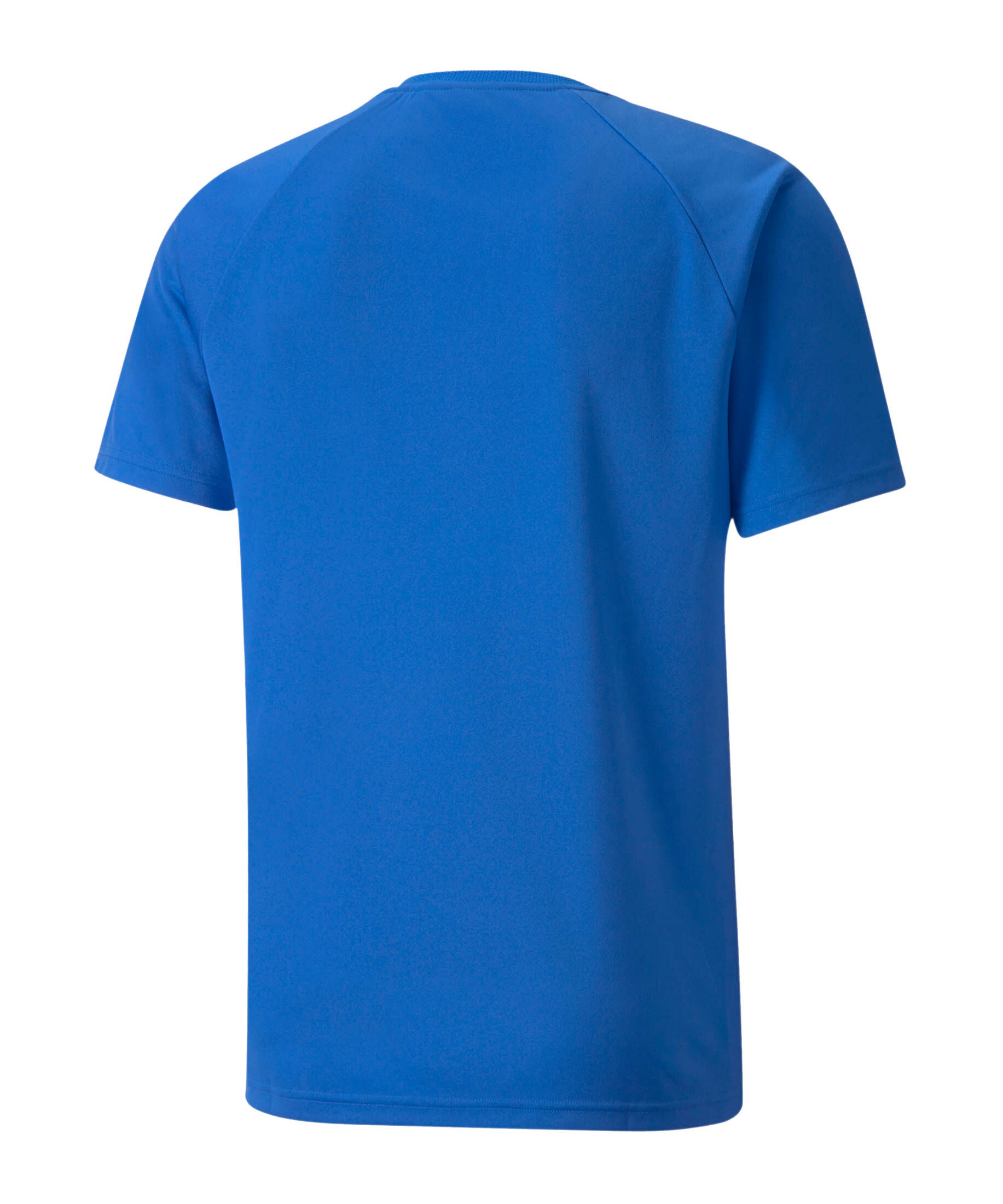 Puma| Herren Fußball - Teamsport Textil - Trikots teamLIGA Striped Trikot