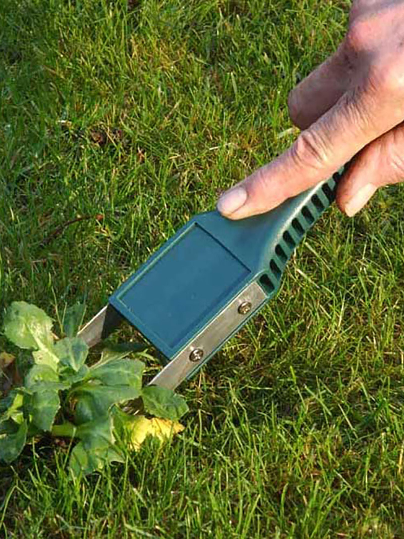 Arrache mauvaises-herbes 31cm
