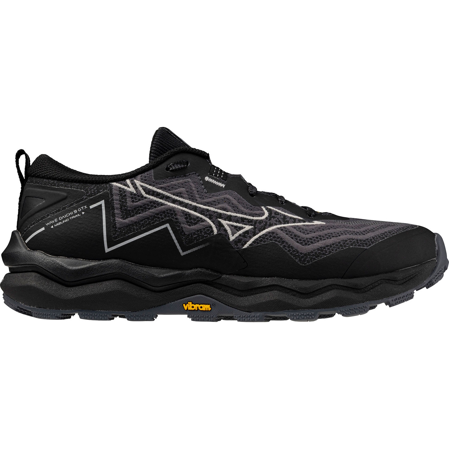 Mizuno Wave Daichi 9 GTX Dames