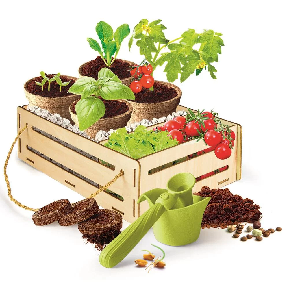 SCIENCE & JEU - JARDIN ET POTAGER