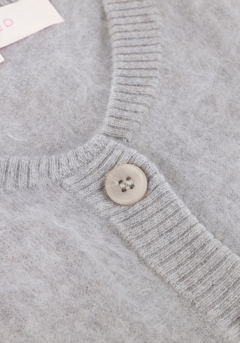 grijze absolut cashmere vest lana
