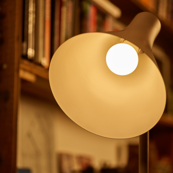Philips LED kogel E27 5,9W mat niet dimbaar