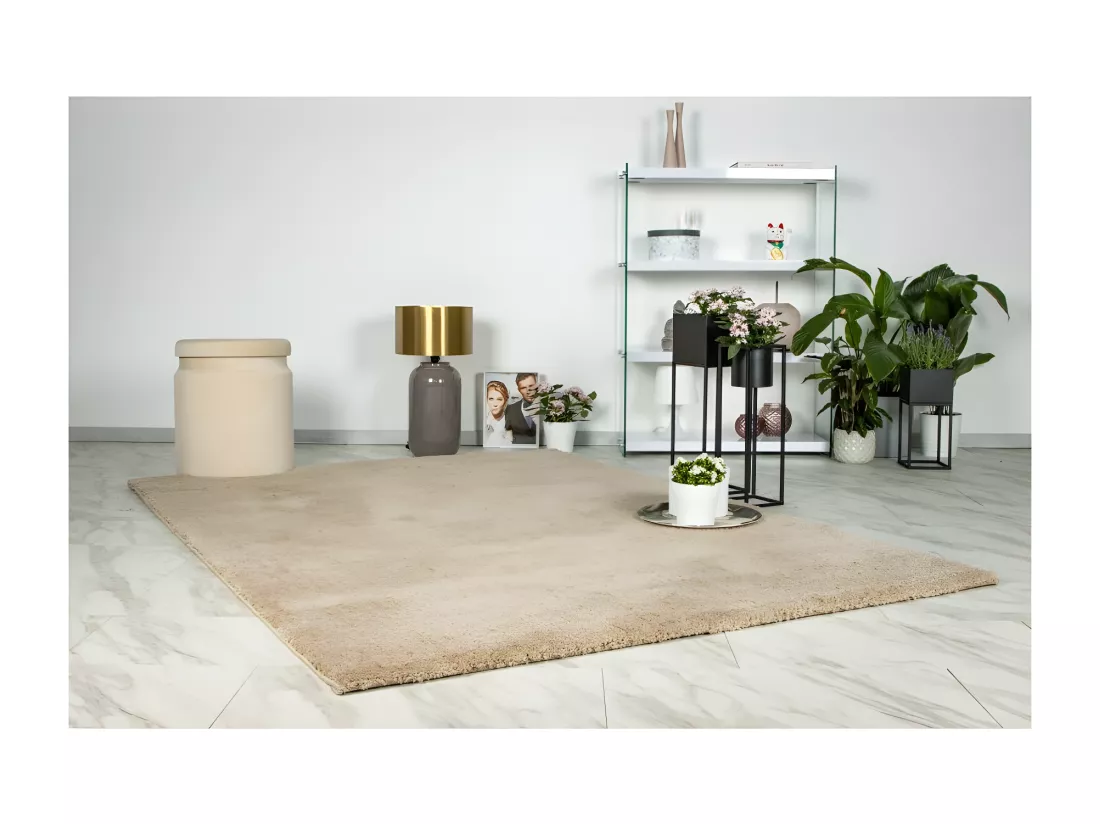 Tapis 290x200cm, design D005M coloris champagne - Confort et élégance pour votre intérieur