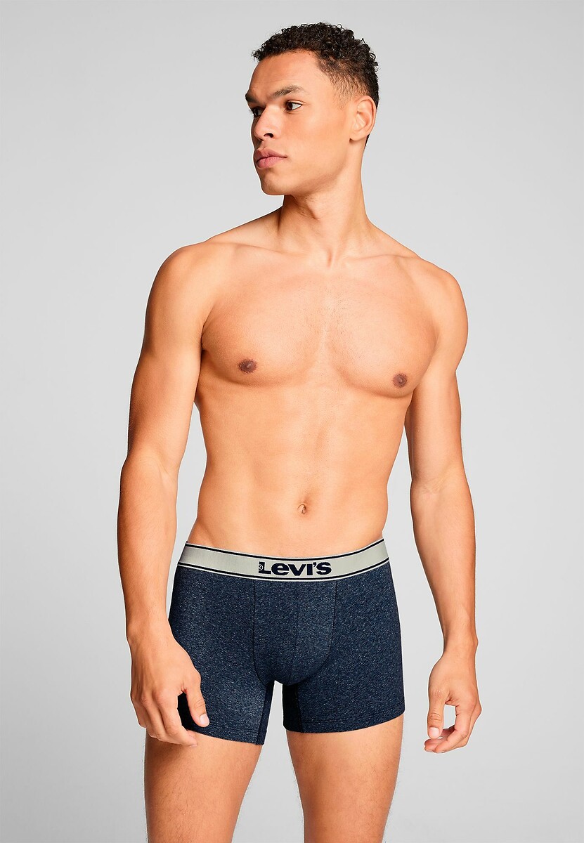 Conjunto de 2 cuecas boxer lisas da Levi's