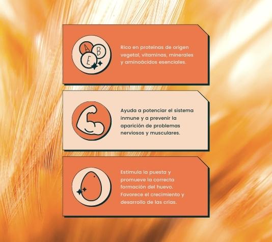 Suplemento vitamínico para a criação e reprodução de galinhas e outras aves 1 L - Recomendado para a reprodução e desenvolvimento de aves jovens