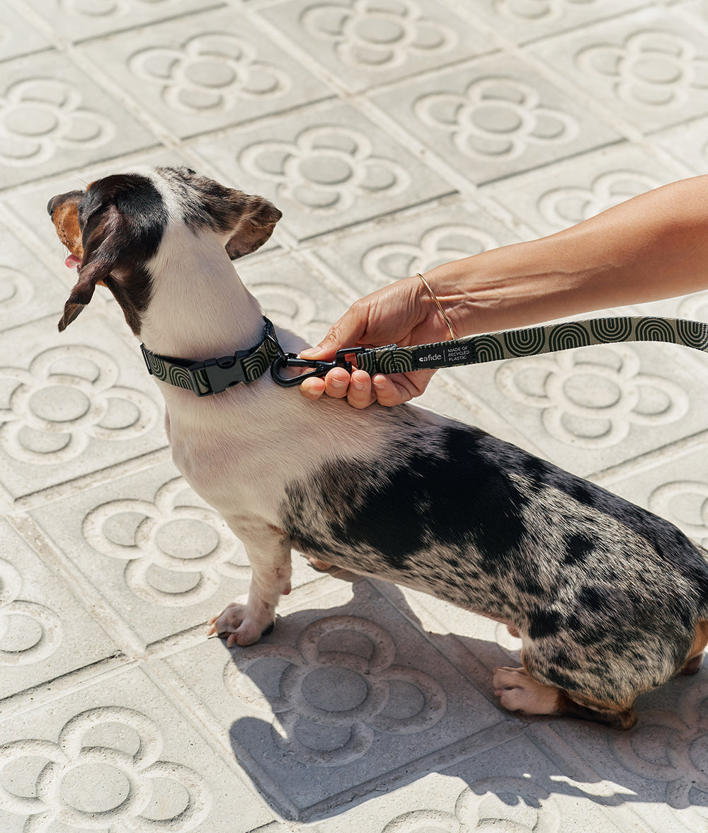 Alça de 1,2 m em PET reciclado, design ecológico japonês, Juno