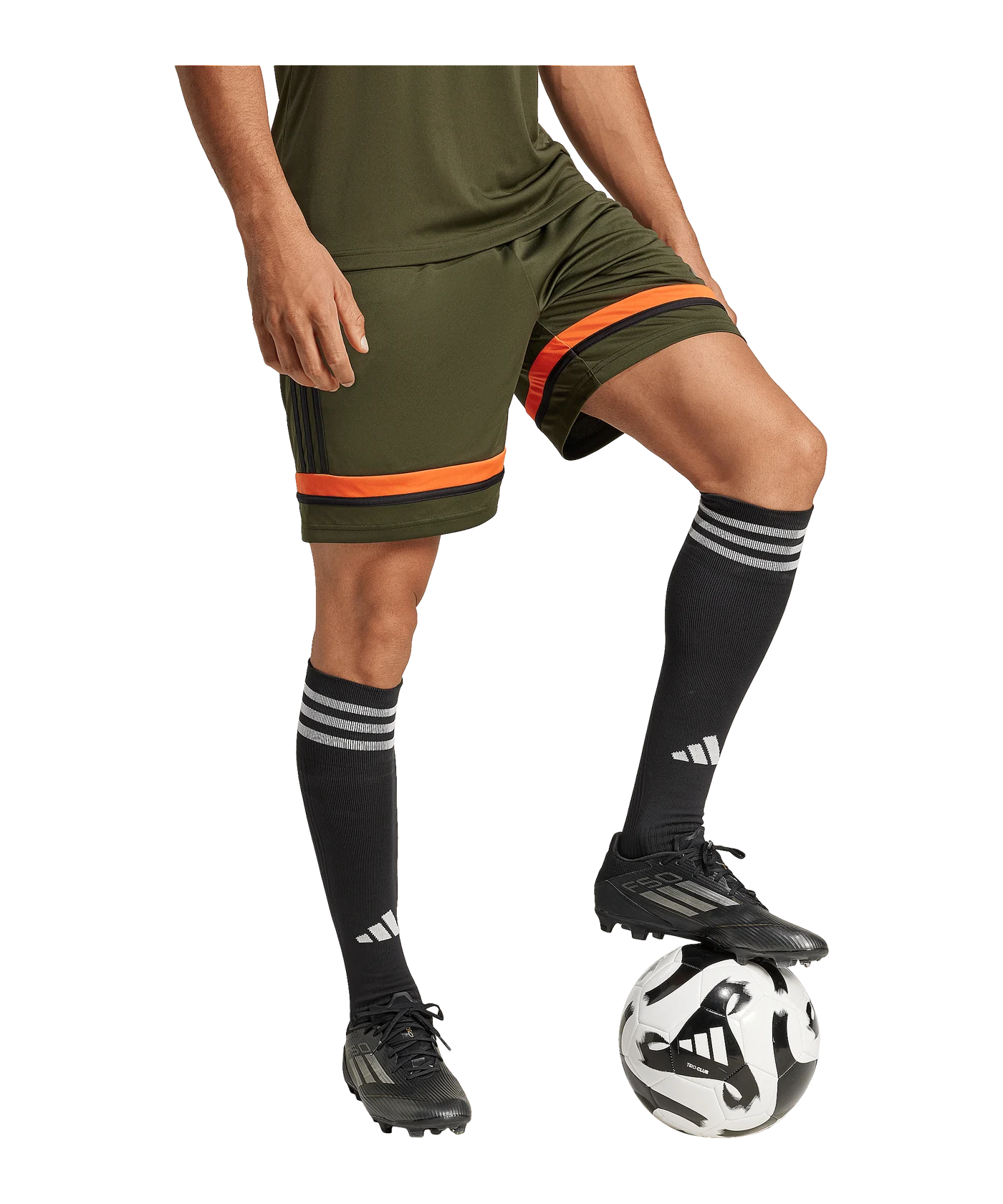 adidas Squadra 25 Short Grün