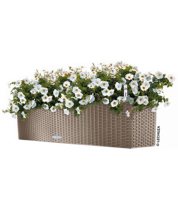 LECHUZA® Kunststoff-Kasten Balconera Cottage,