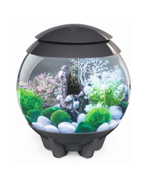 Biorb Aquarium Halo 15 Mcr - Aquaria - Grijs