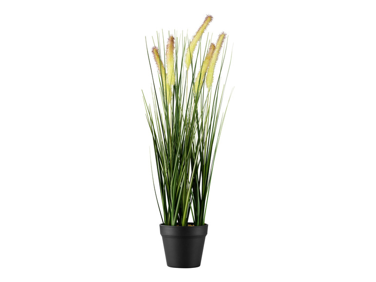Kunstplant