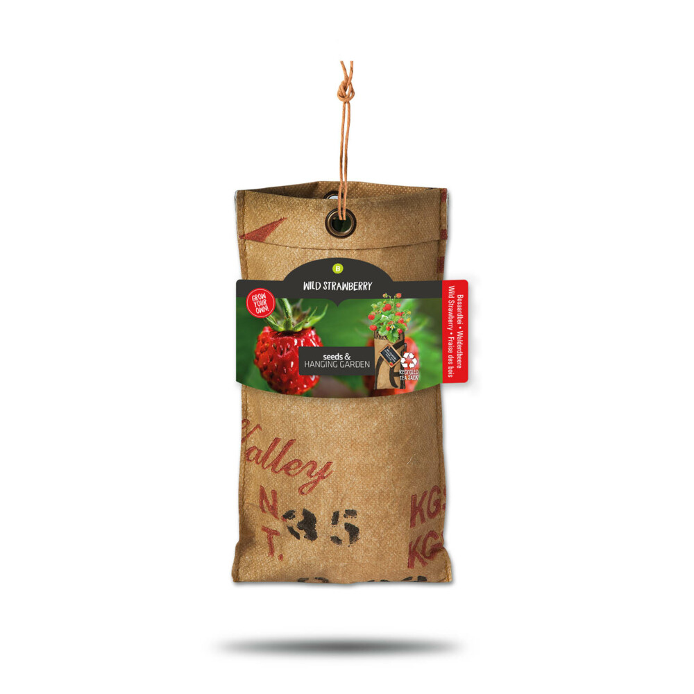 Baza Hangtuintjes Set Groenten1 set