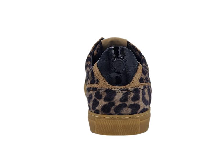 Floris van Bommel SFW-10096 taupe