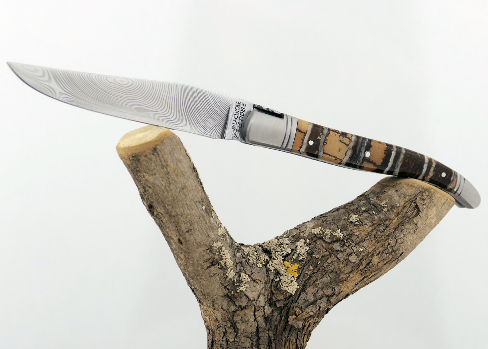 Couteau Laguiole avec un manche en Molaire de Mammouth Fossile